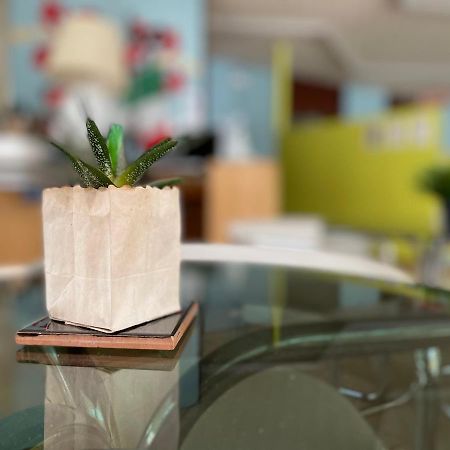Hotel Aloha 切塞纳蒂科 外观 照片